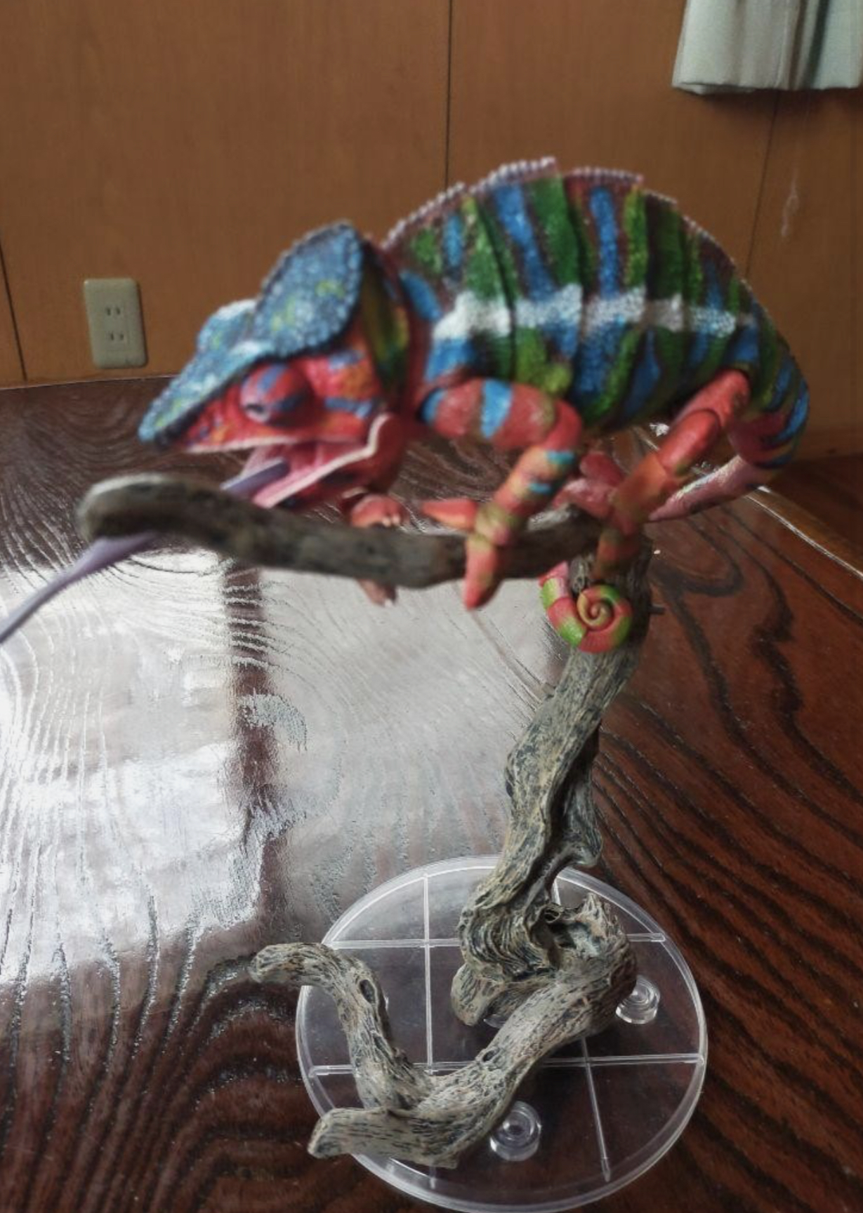 Have a Never Dying Not Eating Chameleon from Japan :: Chameleons